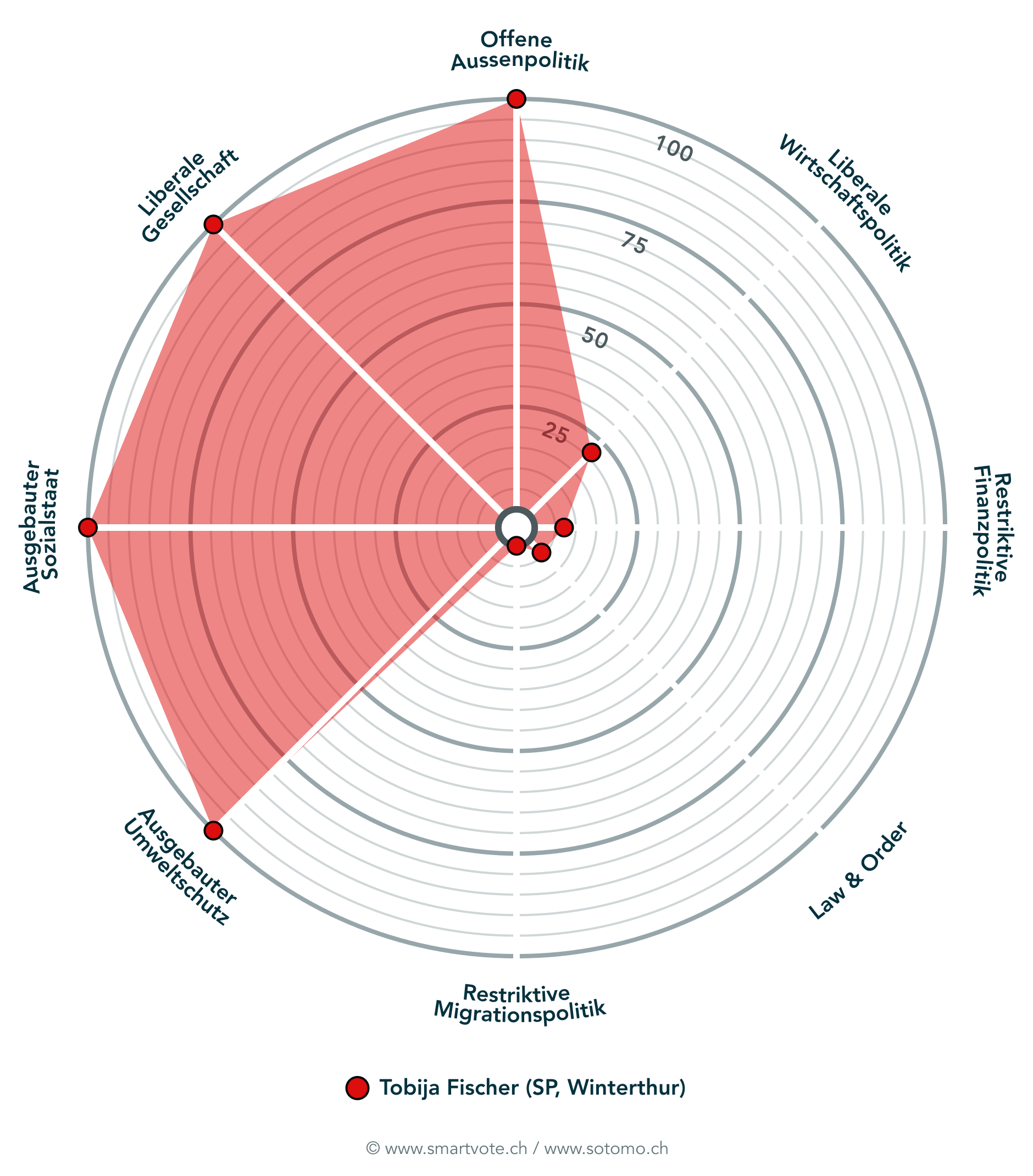 Smartvote Spider von Tobija Fischer